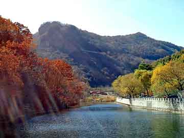 管家婆黑白马报图库，2012年龙票